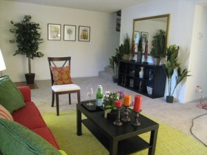 The model living room at The Village at Wesley Chapel