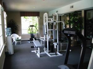 The gym at Stonetree Apartments